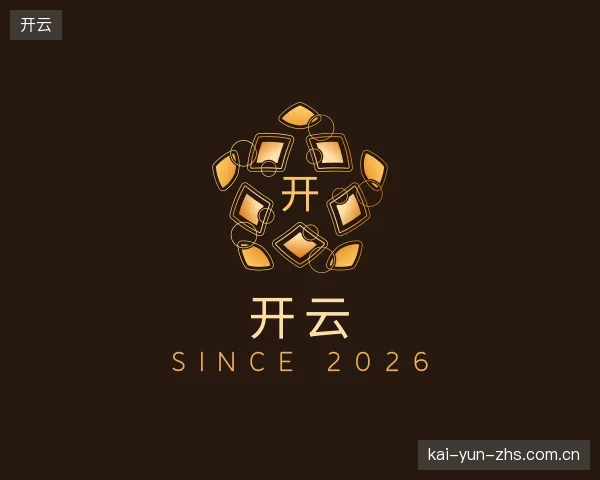 解读开云公司